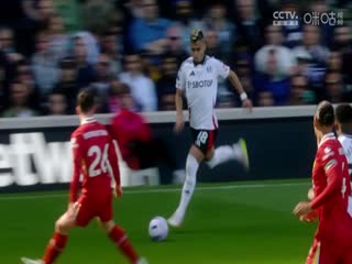 英超联赛 布莱顿VS莱斯特城 20250412海报