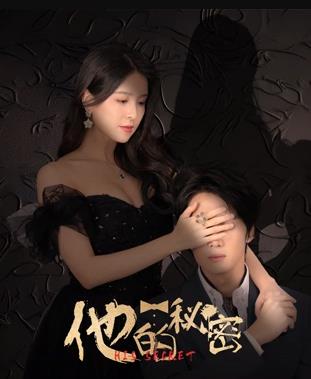 他的秘密海报