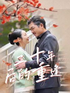 二十年后的重逢海报