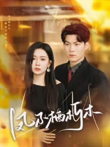 凤不栖朽木海报