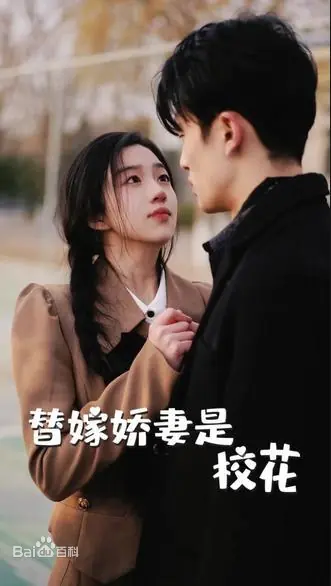 替嫁娇妻是校花海报