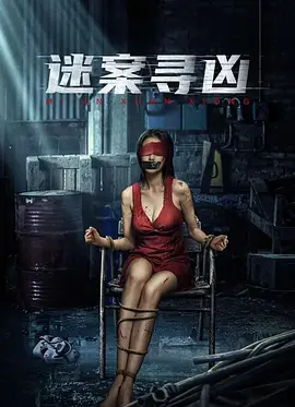 迷案寻凶电影版海报