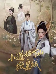 小道姑下山掀皇城海报