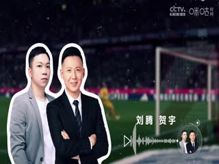 意甲联赛 帕尔马VS国际米兰 20250406海报