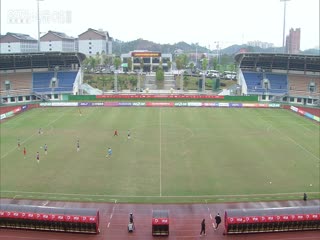 中甲联赛 定南赣联VS广东广州豹 20250405海报