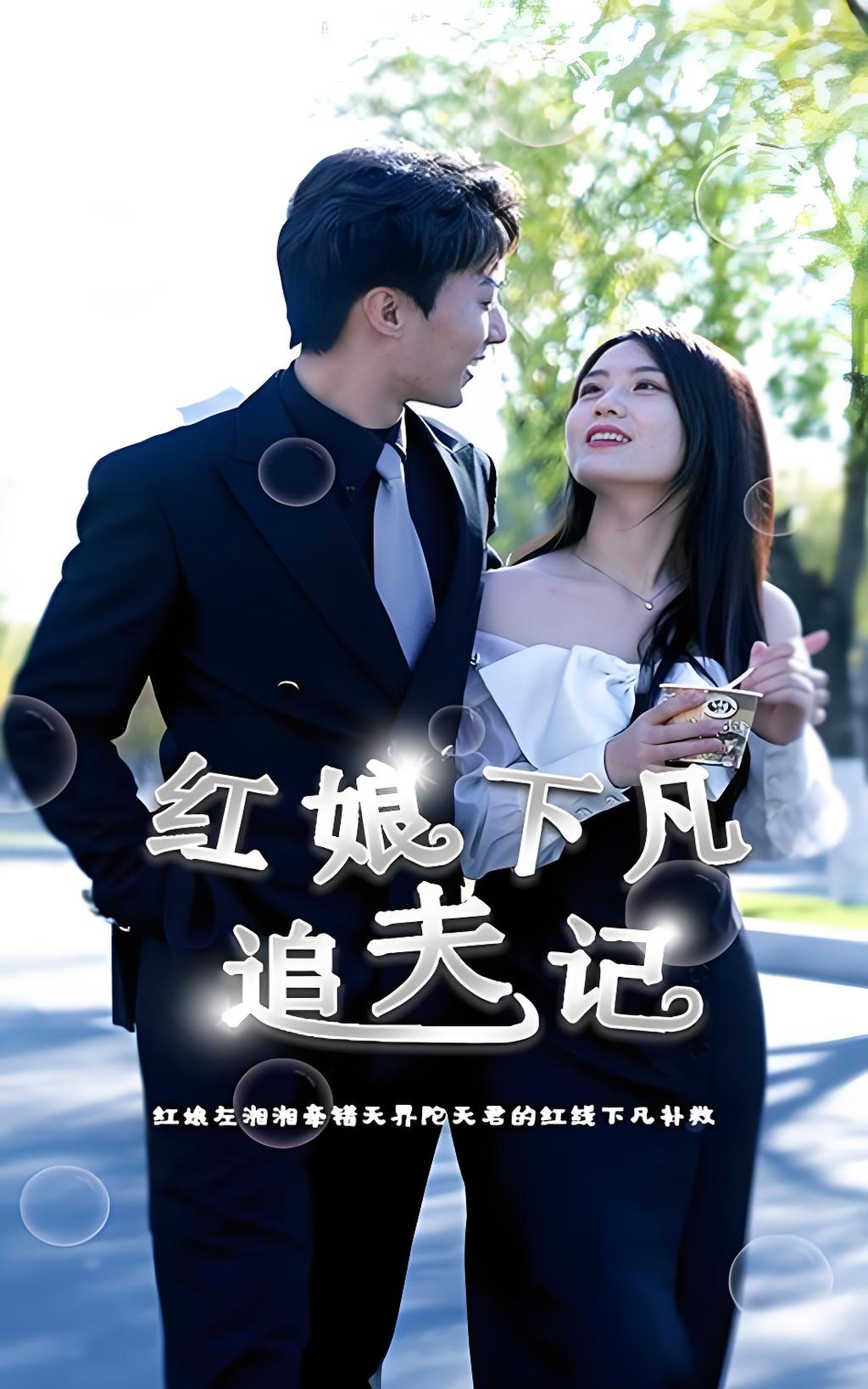 红娘下凡追夫记海报