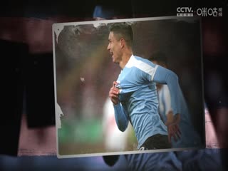 英超联赛 布莱顿VS阿斯顿维拉 20250403海报