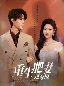 重生肥妻过分撩海报