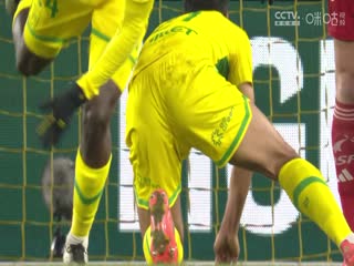 法甲联赛 南特VS布雷斯特 20250208海报