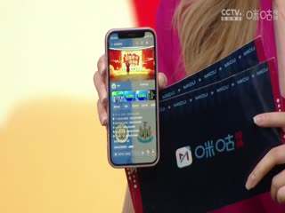 英超联赛 曼城VS纽卡斯尔联 20250215海报