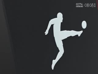 德甲联赛 门兴格拉德巴赫VS奥格斯堡 20250222海报