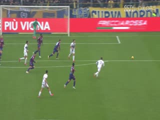 意甲联赛 帕尔马VS博洛尼亚 20250222海报