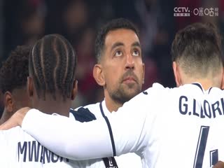 法甲联赛 里尔VS勒阿弗尔 20250209海报