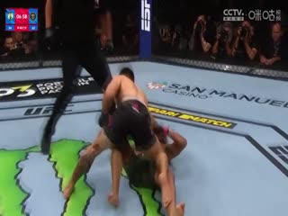 NBA常规赛 凯尔特人VS掘金 20240308海报