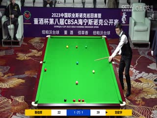 斯诺克 刘宏宇4-3斯佳辉 20230518海报