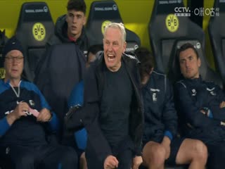 德甲 多特蒙德vs弗赖堡 (涂远) 20240209海报