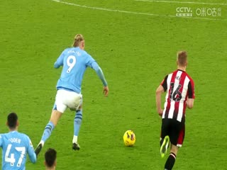 英超 阿森纳vs纽卡斯尔联 (洪荒) 20240224海报