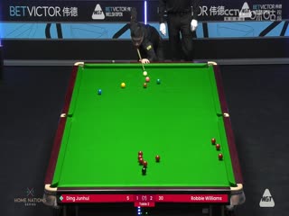斯诺克威尔士公开赛 丁俊晖2-4罗比·威廉姆斯 20240213海报