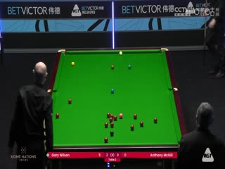 斯诺克威尔士公开赛 加里·威尔逊5-0安东尼·麦克吉尔 20240216海报