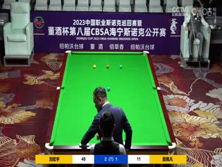 斯诺克 刘宏宇4-2雷佩凡 20230517（李照）海报