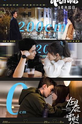 在暴雪时分海报