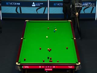 斯诺克威尔士公开赛 马克·塞尔比4-2袁思俊 20240212海报