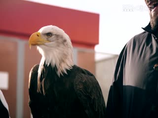 英超 阿森纳vs利物浦 (陈渤胄) 20240204海报