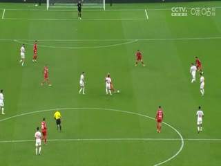 亚洲杯 巴勒斯坦vs阿联酋 (刘腾) 20240118海报