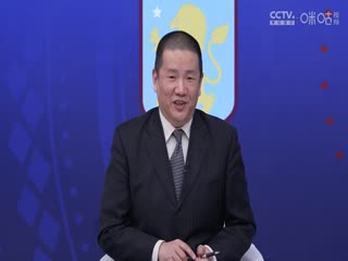 英超 阿斯顿维拉vs纽卡斯尔联 (娄一晨、刘越) 20240130海报