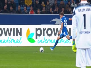 德甲 弗赖堡vs霍芬海姆 (刘洪新) 20240120海报