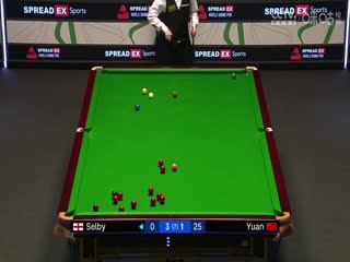 2024斯诺克世界大奖赛 马克·塞尔比4-3袁思俊 20240115（李照）海报