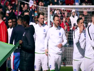 英超 纽卡斯尔联vs卢顿 20240203（林梦鸽）海报