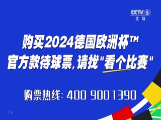 亚洲杯 印度尼西亚vs伊拉克 20240115（CCTV5）海报