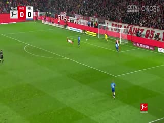 德甲 拜仁慕尼黑vs霍芬海姆 (涂远、张力) 20240112海报