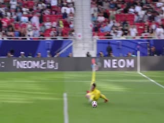 亚洲杯 日本vs越南 (陈凯冬) 20240114海报