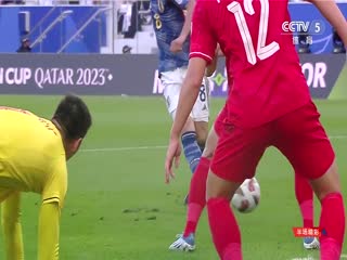 亚洲杯 日本vs越南 (CCTV5) 20240114海报