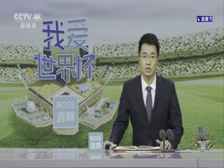 荷兰vs美国海报