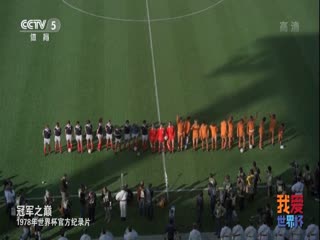 1978年世界杯官方纪录片 HDTV海报