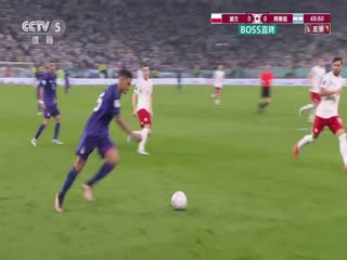 波兰VS阿根廷海报