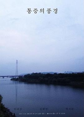 疼痛的风景海报