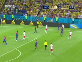 波兰VS哥伦比亚海报