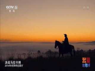 2014年世界杯官方纪录片 hdtv海报