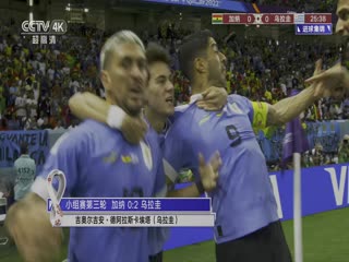 阿根廷vs澳大利亚海报