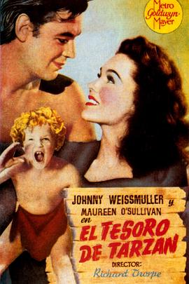 泰山的秘密宝藏海报