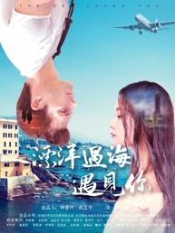 漂洋过海遇见你海报