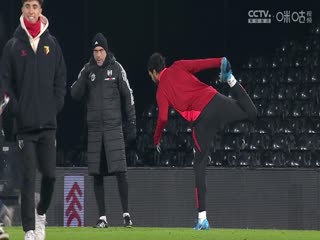 足总杯第三轮比赛 富勒姆VS沃特福德 20250110海报