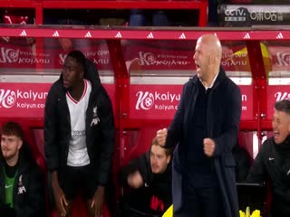 英超联赛 莱斯特城VS富勒姆 20250118海报