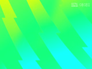 英超联赛 莱斯特城VS水晶宫 20250116海报