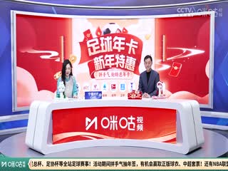 英超联赛 托特纳姆热刺VS莱斯特城 20250126海报