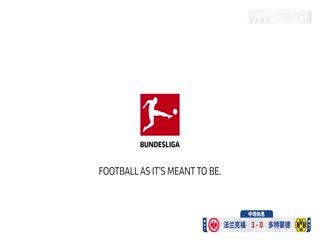 德甲联赛 法兰克福VS多特蒙德 20250118海报
